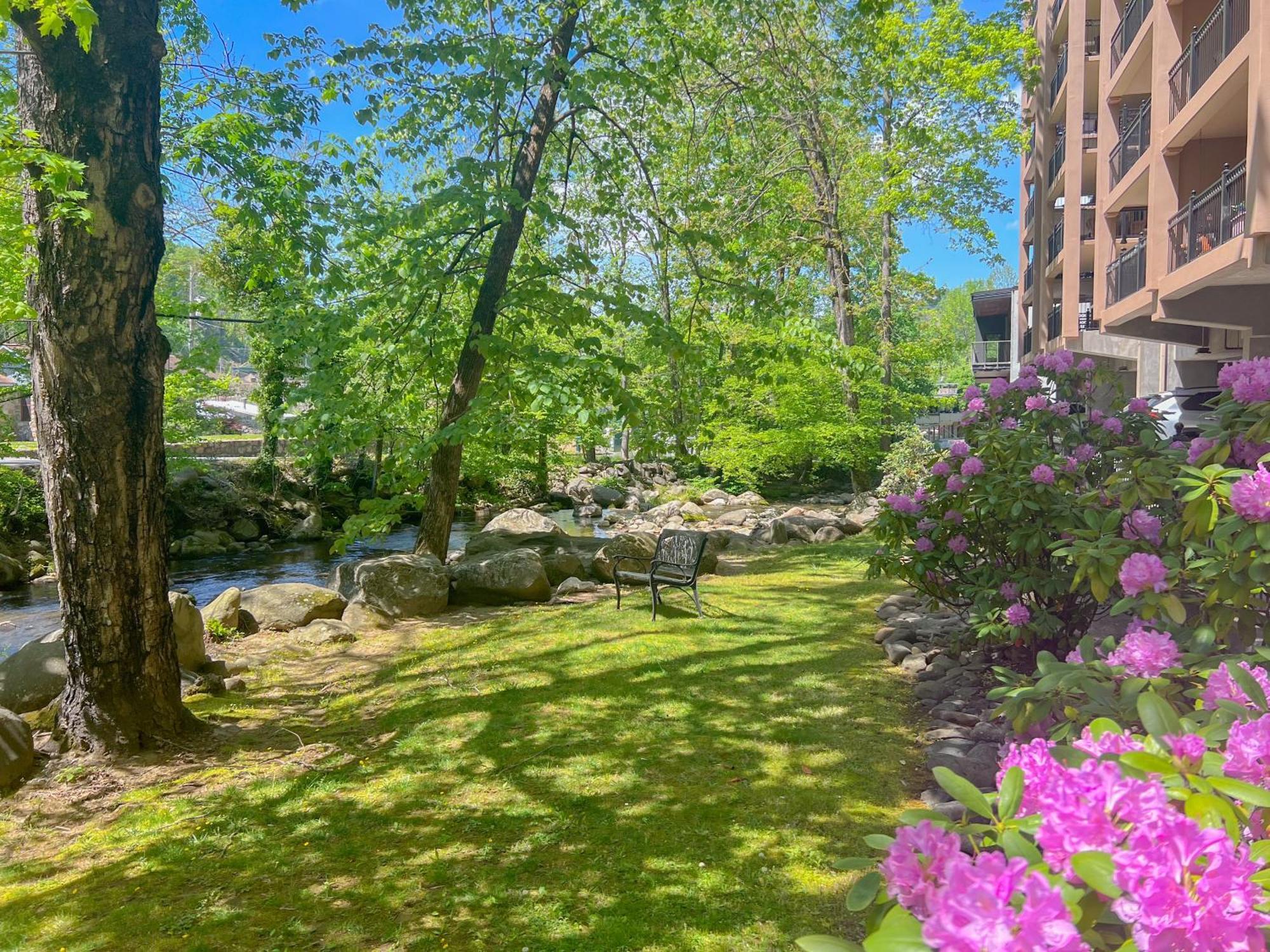 גטלינבורג Luxurious Condo, Pool, Fireplace, Hiking מראה חיצוני תמונה